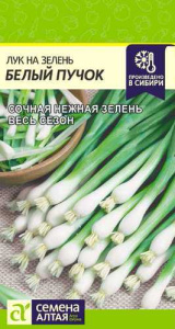 Лук Белый Пучок на зелень купить