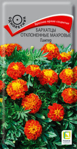 Бархатцы Пантер откл. махр. купить