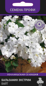 Бальзамин Экстрим Вайт  купить
