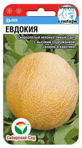 Дыня Евдокия  купить