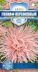 Астра Голиаф персиковый розово- кремовая  купить