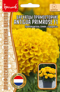 Бархатцы Антигуа F1 Примароз купить