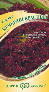 Салат Кучеряш красный автор. купить