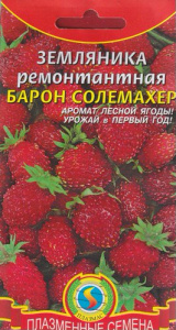 Земляника Барон Солемахер ремонтантная купить