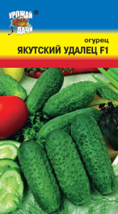 Огурец Якутский Удалец F1 купить