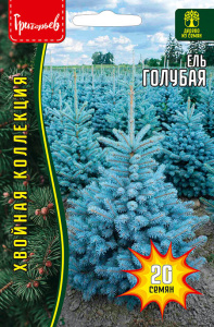 Ель Голубая купить