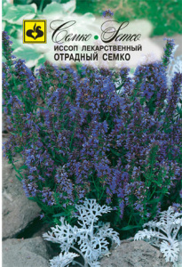 Иссоп Отрадный Семко  купить