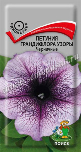 Петуния Узоры Черничные грандифлора купить