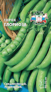 Горох Глориоза  купить