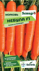 Морковь Небула F1 купить