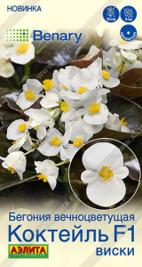 Бегония вечноцветущая Коктейль F1 виски Benary купить