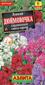 Левкой Дюймовочка карликовый, смесь  купить
