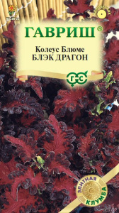 Колеус Блэк Драгон Элитная клумба купить