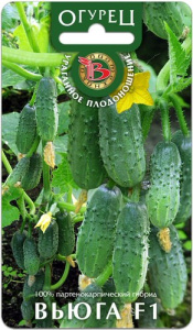 Огурец Вьюга F1 купить