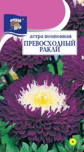 Астра Превосходный Ракли помпонная  купить