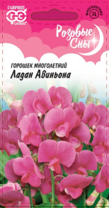 Горошек Ладан Авиньона многолетний  купить