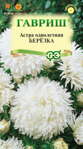 Астра Березка  (воронежская белая) купить