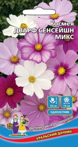 Космея Дварф Сенсейшн Микс (УД)  купить