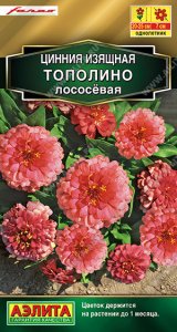 Цинния Тополино лососевая купить