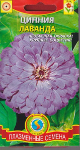 Цинния Лаванда  купить