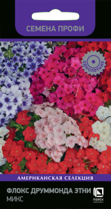 Флокс Этни, микс друммонда купить