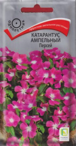 Катарантус ампельный Персей  купить