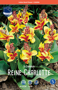 Канна Reine Charlotte /3шт купить