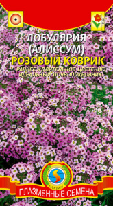 Лобулярия Розовый коврик  купить