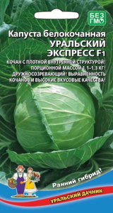 Капуста Уральский экспресс F1  купить
