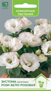Эустома махровая Рози Бело-розовая купить