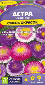 Астра Помпонная Смесь Окрасок  купить