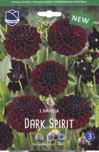 Георгина Дарк Спирит /1шт купить
