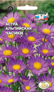 Астра Часики  купить