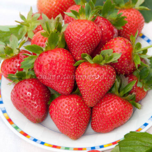 Земляника Эви с Делайт  ремонтантный  купить