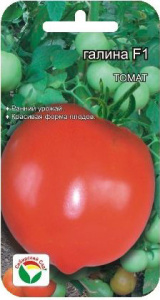 Томат Галина  F1  купить