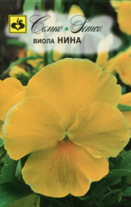 Виола Нина  купить