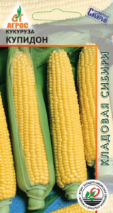Кукуруза Купидон  КС купить