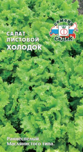 Салат Холодок листовой купить
