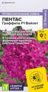 Пентас Граффити F1 Вайлет ланцетовидный купить
