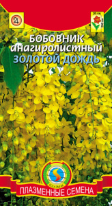 Бобовник анагиролистный Золотой дождь  купить