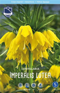 Рябчик Империалис Лютеа /1шт купить