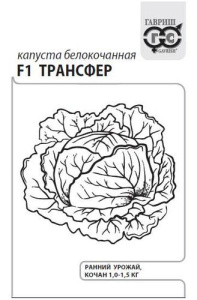 Капуста Трансфер F1 0.1г б/п  купить