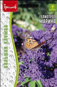 Гелиотроп Марина перуанский (Marine)  купить