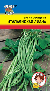 Вигна Итальянская лиана  купить