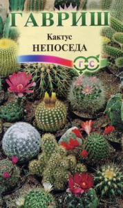 Кактус Непоседа смесь  купить