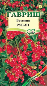 Брусника Рубин  купить