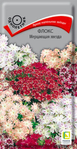 Флокс Мерцающая звезда купить