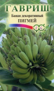 Банан Пигмей декоративный  купить