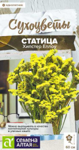 Статица Хипстер Еллоу  Сухоцветы