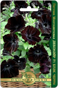 Петуния Дебонэйр F1 Блэк Черри  купить